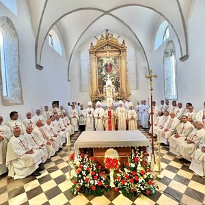 Kardinal Bozanić proslavio zlatnu misu u rodnom Vrbniku