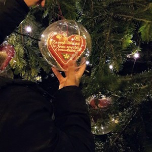 Okićena božićna jelka ispred Katedrale