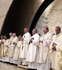 Stoljetno sjeme niknulo u stablo