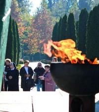 Vukovar – susret s istinom