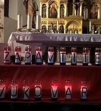 Akademija "Zapamtite Vukovar" u Samoboru