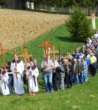 Župni hodočasnički križni put u Novigradu na Dobri