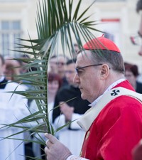 Proslavljena Cvjetnica u zagrebačkoj katedrali