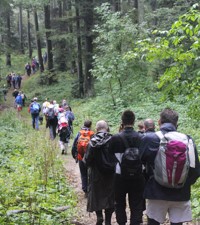 Misa zahvalnica za 286. hodočašće vjernika grada Zagreba u Mariju Bistricu
