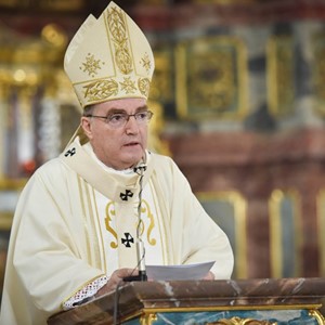 Homilija zagrebačkoga nadbiskupa kardinala Josipa Bozanića prigodom biskupskog ređenja mons. Bože Radoša
