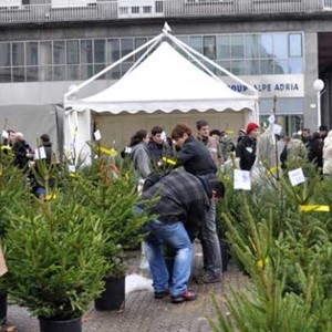 Najava prodaje božićnih drvaca u sklopu humanitarnog programa „Za 1000 radosti – Probudi dobro u svijetu!“