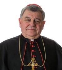 Životopis kardinala Duke