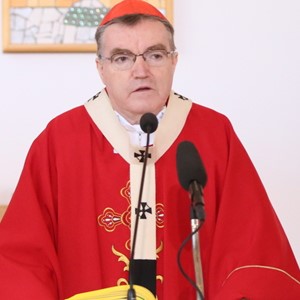 Kardinalova homilija na nedjelju muke Gospodnje - Cvjetnicu