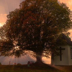 Psihološko-duhovni savjeti u suočavanju s krizom