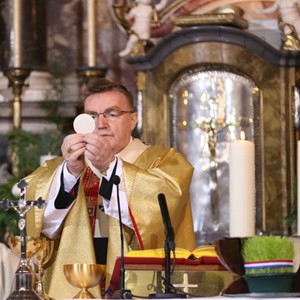 Što se događa u misi? (II)