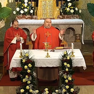 Don Ivan Marčić predvodio misu u Krašiću petoga dana devetnice uoči Stepinčeva