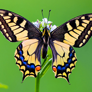 Može se živjeti bolje!