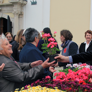 Cvijeće zahvalnosti za Majčin dan