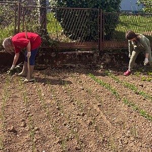Započeo projekt "Osnažena majka - moja sigurna luka"