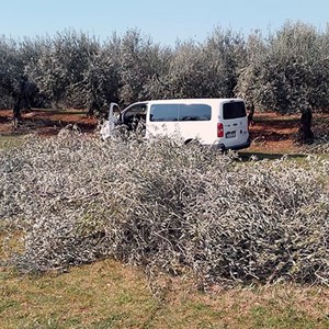 Korizmenim kutijicama i maslinovim grančicama za potrebite