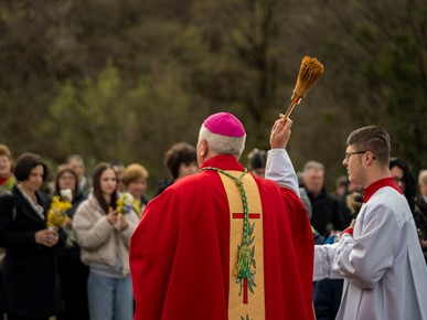 /A/2024/3/H/Cvjetnica (21).jpg