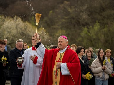 /A/2024/3/H/Cvjetnica (22).jpg