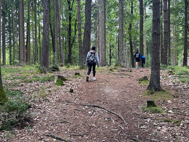 /A/2024/7/D/Taborovanje Ceska (1).jpg