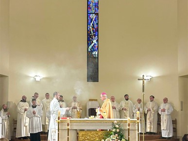 /A/2025/1/C/retkovec 4.jpeg