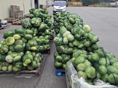 /A/2025/10/F/Zagrebački Caritas primio donaciju Župe Vidovec iz Varaždinske biskupije (1).jpg