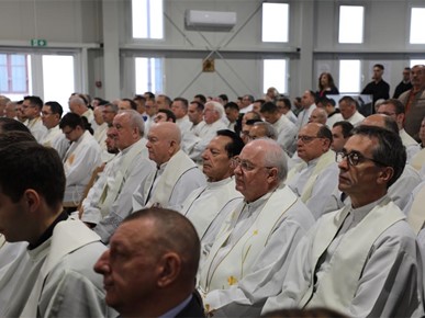 /A/2025/10/Kardinalova zlatna misa/251020 (17).JPG