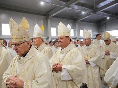 /A/2025/10/Kardinalova zlatna misa/251020 (29).JPG