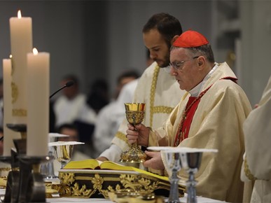 /A/2025/10/Kardinalova zlatna misa/251020 Zlatna misa kardinala Bozanića (14).JPG