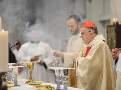 /A/2025/10/Kardinalova zlatna misa/251020 Zlatna misa kardinala Bozanića (15).JPG