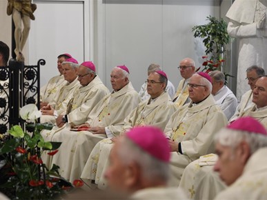 /A/2025/10/Kardinalova zlatna misa/251020 Zlatna misa kardinala Bozanića (25).JPG