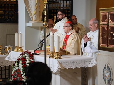 /A/2025/11/E/Kardinal Bozanić predvodio misno slavlje svetkovine Krista Kralja (3).JPG