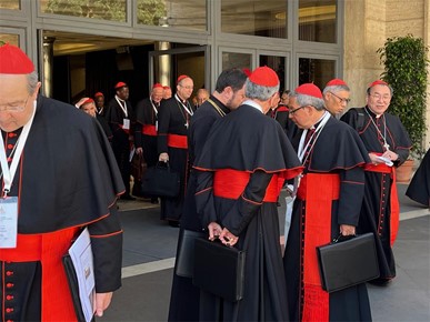 /A/2025/4/F/Kardinali najavili misu prije početka konklave na šestoj Općoj kongregaciji (1).jpg