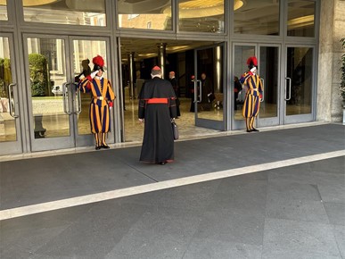 /A/2025/4/F/Potvrđeno pravo sudjelovanja svih kardinala izbornika u konklavi (1).jpeg