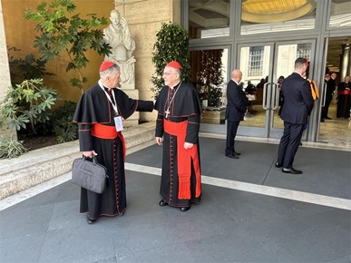 /A/2025/4/F/Potvrđeno pravo sudjelovanja svih kardinala izbornika u konklavi (1).jpg