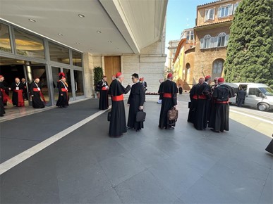 /A/2025/4/F/Potvrđeno pravo sudjelovanja svih kardinala izbornika u konklavi (2).jpg