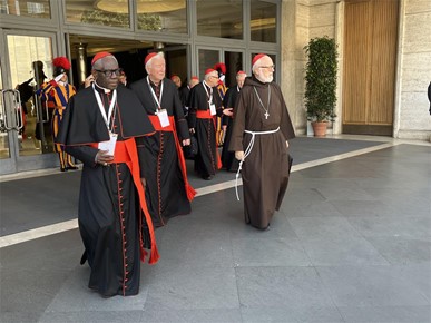 /A/2025/4/F/Potvrđeno pravo sudjelovanja svih kardinala izbornika u konklavi (3).jpg