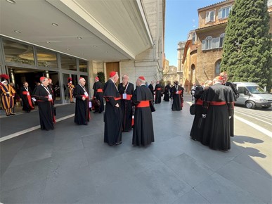 /A/2025/4/F/Potvrđeno pravo sudjelovanja svih kardinala izbornika u konklavi (4).jpg