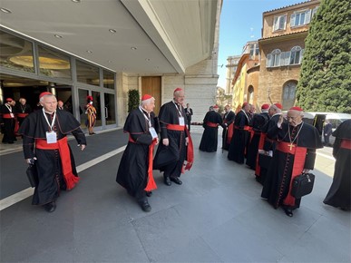 /A/2025/4/F/Potvrđeno pravo sudjelovanja svih kardinala izbornika u konklavi (5).jpg