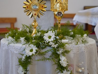 /A/2025/4/F/Proslavljena nedjelja božjeg milosrđa u župi blažene djevice marije majke crkve (1).jpg