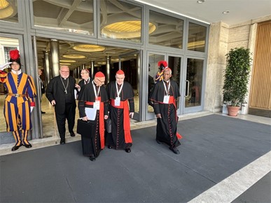 /A/2025/5/A/Kardinali na osmoj Općoj kongregaciji raspravljali o evangelizaciji i poslanju (1).jpeg