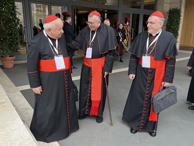 /A/2025/5/A/Sva 133 kardinala izbornika stigla u Rim uoči konklave (1).jpeg