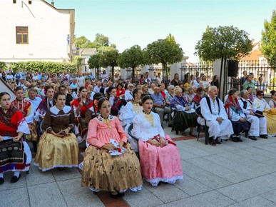 /A/2025/8/B/Nadbiskup Kutleša predvodio misno slavlje svekovine sv. Lovre u Požegi (5).jpg