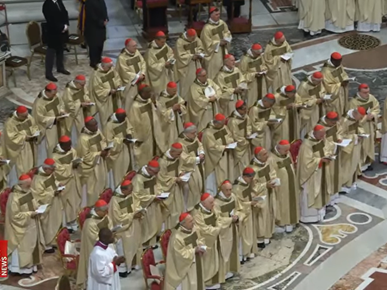 /A/2026/1/A/Kardinal Bozanić sudjelovao na misnom slavlju zaključenja Jubilejske godine (Screenshot VN) (7).png