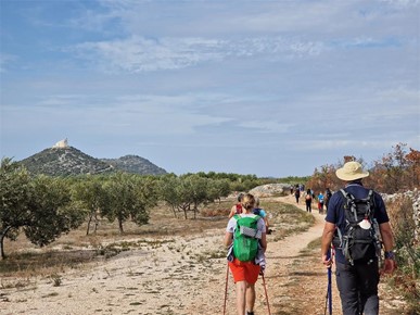 /A/2026/2/C/CAMINO 1.jpg