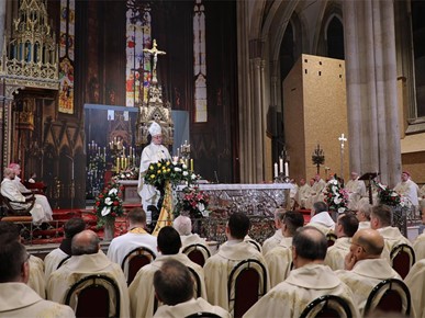 /A/2026/2/Misa zahvalnica - nuncij Lingua/260211 Misa zahvalnica - NUNCIJ LINGUA (27).JPG