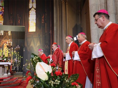 /A/2026/2/STEPINČEVO/260210 Stepinčevo u katedrali (12).JPG