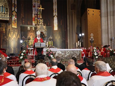 /A/2026/2/STEPINČEVO/260210 Stepinčevo u katedrali (17).JPG