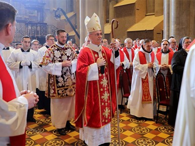 /A/2026/2/STEPINČEVO/260210 Stepinčevo u katedrali (5).JPG