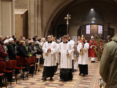 /A/2026/3/Cvjetnica/Nadbiskup Kutleša predvodio misno slavlje Nedjelje Muke Gospodnje u Zagrebačkoj katedrali (10).JPG