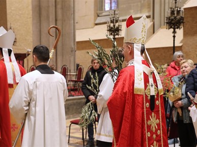 /A/2026/3/Cvjetnica/Nadbiskup Kutleša predvodio misno slavlje Nedjelje Muke Gospodnje u Zagrebačkoj katedrali (11).JPG