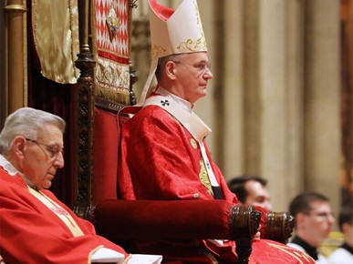 /A/2026/3/Cvjetnica/Nadbiskup Kutleša predvodio misno slavlje Nedjelje Muke Gospodnje u Zagrebačkoj katedrali (14).JPG